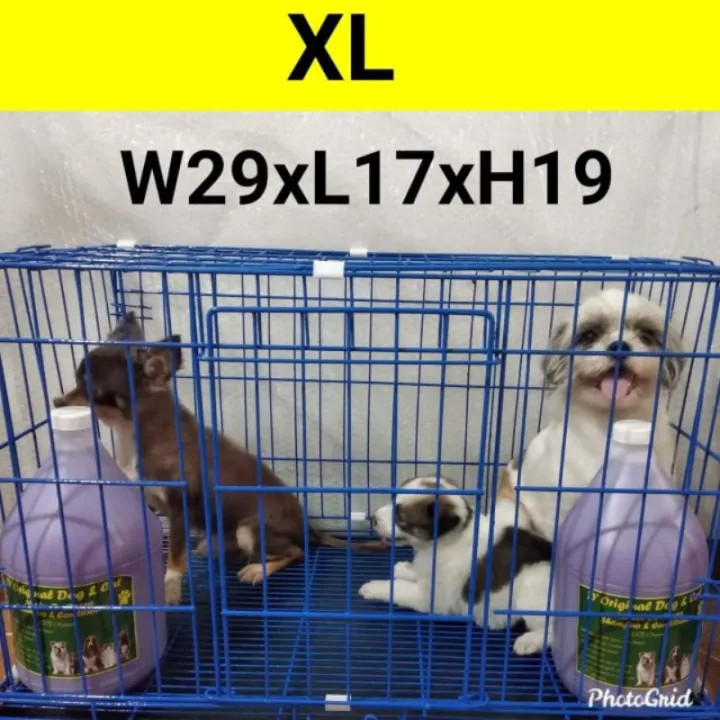 XL DOG CAGE FOLDABLE.. WITH PLASTIC TRAY Lazada PH