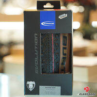 ยางนอกเสือภูเขา Schwalbe Thunder Burt 29x2.25 ขอบแก้ว