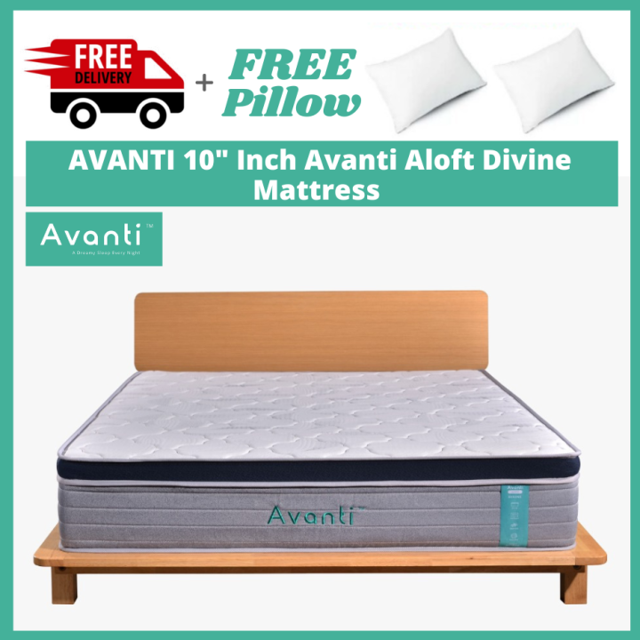 [FREE Pillow+FREE Delivery] AVANTI 10" Inch Avanti ALOFT Divine Euro