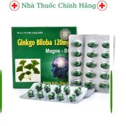 Bổ não Ginkgo Biloba 120mg - cải thiện trí nhớ, giảm mất ngủ