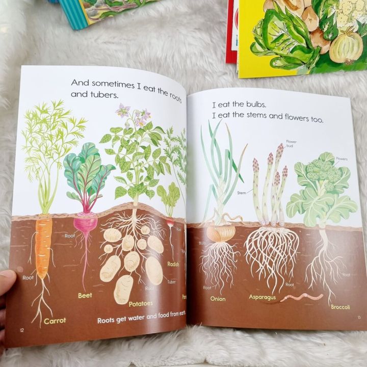 หนังสือ-เด็ก-plants-feed-me-by-lizzy-rockwell-author-ของแท้-rare-ความรู้