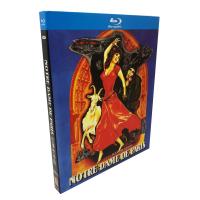 Notre Dame Blu Ray ดิสก์ BD HD ซ่อมแซมรุ่น