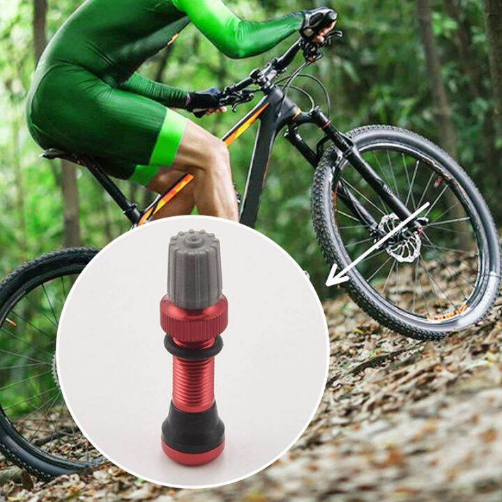 1-pair-40mm-tubeless-air-valve-for-road-bike-amp-mtb-tubeless-valve-stem-universal-schrader-10mm-base