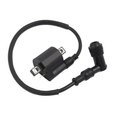 Motorcycle Ignition Coil for CG125CC CG150CC CG 125 150CC ATV Pit Dirt Bike Motorbike