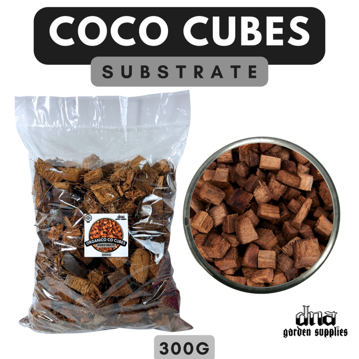 (500G) PURE ORGANIC COCO CUBES Substrate For Gardening / Orchids and
