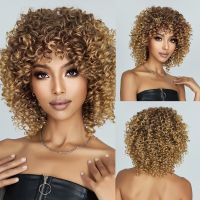 Brown Blonde Curly Hair Synthetic Wigs for Women Short Short Kinky Curly Hair Afro Wigs Glueless Cosplay Hair [ Hot sell ] Toy Center 2