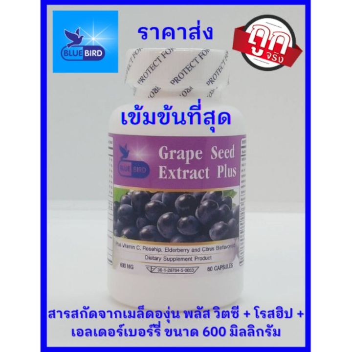 sure-ของแท้-นำเข้า-สารสกัดจากเมล็ดองุ่น-พลัส-grape-seed-extract-plus-ตรา-บลูเบิร์ด-ขนาด-600-มิลลิกรัม-60-แคปซูล