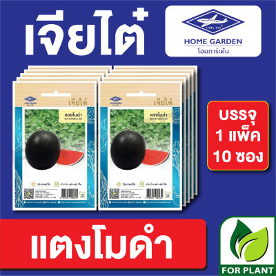 ผักซอง เจียไต๋ CT15 เมล็ดพันธุ์ พันธุ์ผัก แตงโมดำ บรรจุแพ็คล่ะ 10 ซอง ราคา 70 บาท