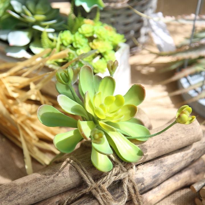 ayiq-flower-shop-พืชเทียมสีเขียวกระบองเพชรสัมผัสจริง-diy-บ้านสวนงานแต่งงานดอกไม้ตกแต่งผนังอุปกรณ์ถ่ายภาพอุปกรณ์ประกอบฉากอุปกรณ์เสริม