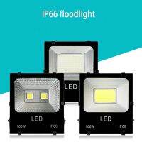 【CW】 100w Outdoor Led Floodlight