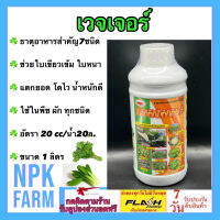 เวจเจอร์ ขนาด 1 ลิตร ฮอร์โมนน้ำ สำหรับผักกินใบทุกชนิด มีธาตุอาหารสำคัญ 7 ชนิด ใบเขียวเข้ม ใบหนา แตกยอด โตไว ใช้ในผักทุกชนิด คะน้า ผักชี