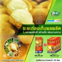 ปุ๋ยยา ลำไย ขยายผลจัมโบ้ก่อนเก็บผลผลิต ลำไย ขยายผลก่อนเก็บ 15-30 วัน เร่งขยายลูก เร่งเข้าสี เร่งสร้างเนื้อ เร่งหวาน สีสวย (1 ลิตร + 3 กก.)