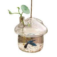 แจกันแก้วแขวนรูปเห็ด Rumble Fish Tank Terrarium คอนเทนเนอร์ Home Garden Decor Retail