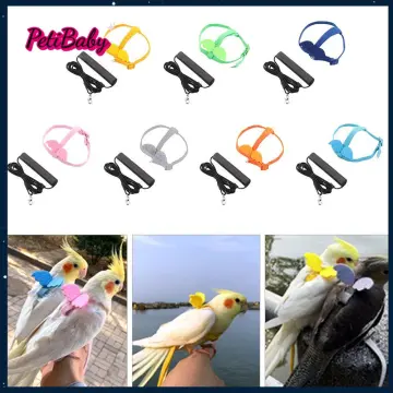 Bird Harness, Pet Parrot Bird Harness and Leash Flying Rope Straps Outdoor  Bird Flying Harness Training Traction Rope for Budgerigar Cockatiel Small