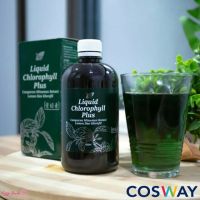 คลอโรฟิลล์ พลัส Liquid Chlorophyll Plus  ชนิดน้ำ 500 มล.  (คลอโรฟิลล์คอสเวย์) ล้างสารพิษ ต้านอนุมูลอิสระ