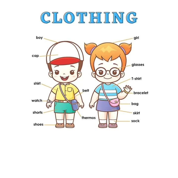 Educational Laminated Chart for Kids CLOTHING Lazada PH