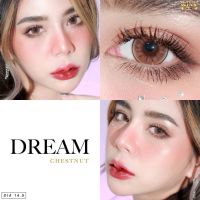 ✨Dream 3 tone Brown chestnut (Wink lens) ขนาดตาโต Big ☀️กรองแสง uv (บิ๊กอาย คอนแทคเลนส์ Bigeye)