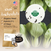 เมล็ดผักนำเข้า ผักฉ่อยก้านเขียว Green Choi (Organic Seed) กวางตุ้งฮ่องเต้ ปลูกง่าย โตไว