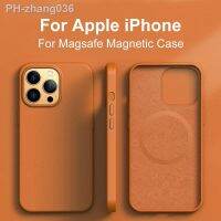 {Haojia เคสโทรศัพท์} สำหรับ Magsafe เคสซิลิโคนเหลวหนังแม่เหล็ก iPhone 14 13 Pro Max Plus อุปกรณ์ชาร์จไร้สายลายอนิเมชั่นขนาดเล็ก