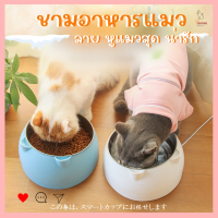 ชามอาหารแมว ที่ใส่อาหารสัตร์เลี้ยง ชามอาหารหมว  ชามอาหารสามาถอดออกได้ พร้อมจัดส่งจากไทย