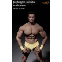 Toysoverzone Phicen PL2016-M34 /Headless musculoskeletal gland muscle mass