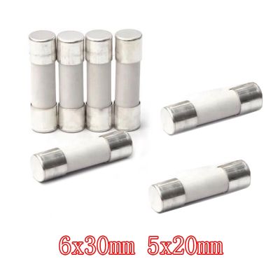 【jw】✼❒  10pcs Fast blow Fuse 5mm x 20mm 6x30  T 0.5A 1A 4A 5A 6A 8A 10A 13A 15A 16A 20A 30A 250V Car Cigar Microwave Oven