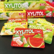 Combo 4 vỉ kẹo Xylitol hương trái cây