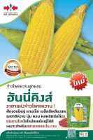 ข้าวโพดฮันนี่คิงส์ ขนาด 1 กิโลกรัม ฝักอวบใหญ่ เมล็ดเรียงสวย สีเหลืองสด