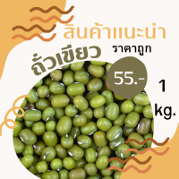 ถั่วเขียว mung bean 1 kg. ถั่วเขียวเพาะงอก ถั่วเขียวทำขนม ถั่วเขียวเพาะ ถั่วเขียวปลูก เมล็ดถั่วงอก เมล็ดถั่วเขียว