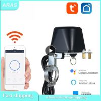 Zigbee Zigbee Gas Valve Tuya Water Valve Assistant Countdown Timer Automation Skits Smart House Wifi Smart Smartlife