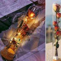 Dried flower bottle sealed cork stopper heightened glass cover bottle rose bamboo bottom storage ornaments glass vase test tube bottle