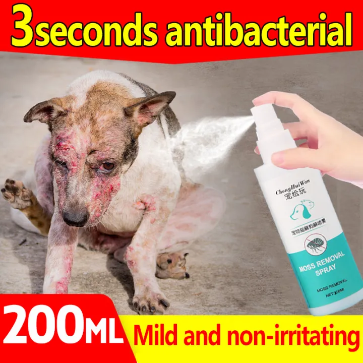 🐱Lickable and nontoxic 🐕 Pet skin treatment spray wounds spray for