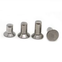 5-50pcs M2 M2.5 M3 M4 M5 M6 A2-70 304 Stainless Steel Flat Countersunk Head Solid Rivet GB869