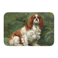 【cw】 Cavalier King Charles Spaniel Front Door Anti Dry Outdoor Doormat Balcony Rug Toilet Entrance 【hot】 !