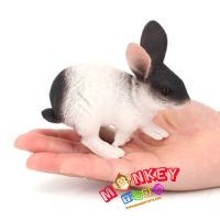 Monkey Toys - โมเดลสัตว์ Rabit กระต่าย ด่าง ขนาด 11.00 CM (จากหาดใหญ่)