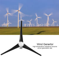 300W Wind Turbines Generator Kit 3 Blade Aerogenerator with Controller Accessory