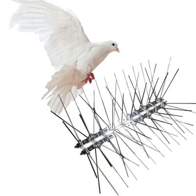 Rayua Sporter Bird Repellent Spikes เป็นมิตรกับสิ่งแวดล้อม Anti Pigeon Nail เครื่องมือยับยั้งนก