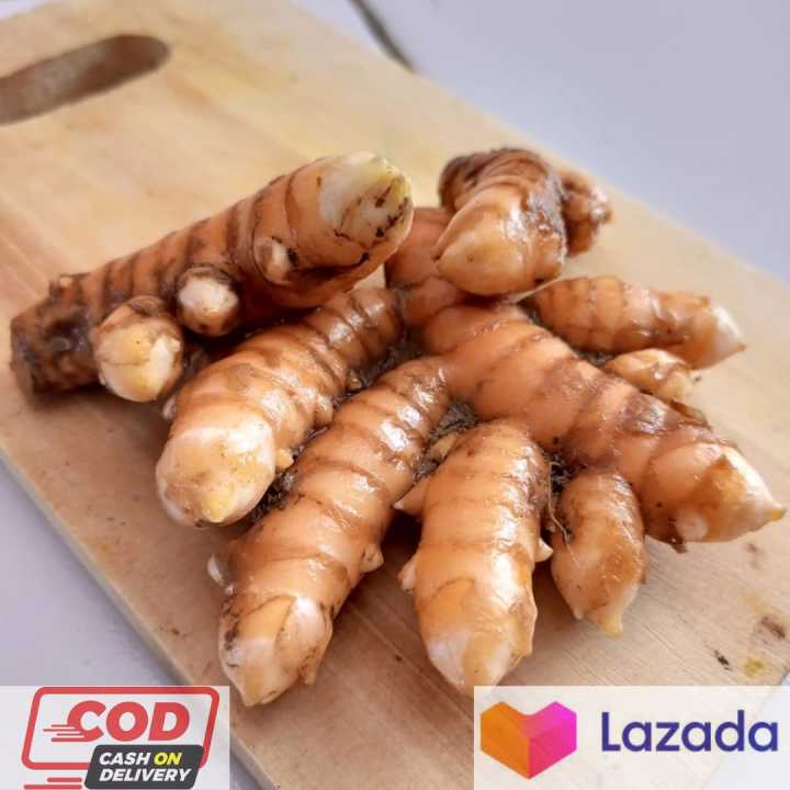 Cod Kunyit Segar Kunyit Fresh Koneng 1 Kg Lazada Indonesia 1359