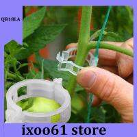 ixoo61 store 50pcs Gardening Plant Clip Anti-break Holder Tomato Tree Support Stand Branches Garden Strengthen Fixing Stalk Retaining