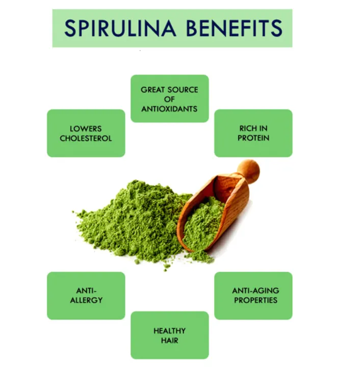 SPIRULINA FOOD SUPPLEMENT Natural Herb 100Capsule 500mg SGL Collection
