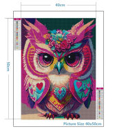 ภาพวาดเพชรชุด OWL5D เพชรชุดศิลปะ,ภาพวาดเพชรเต็มเริ่มต้นเด็กบ้านตกแต่งผนังของขวัญ