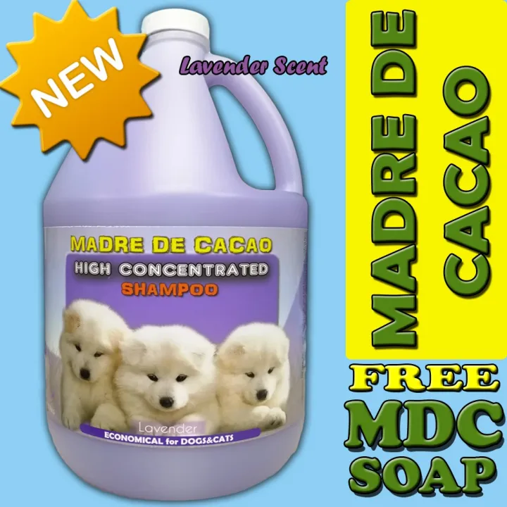 Madre de Cacao shampoo with guava extract 1 gallon (lavender scent) for