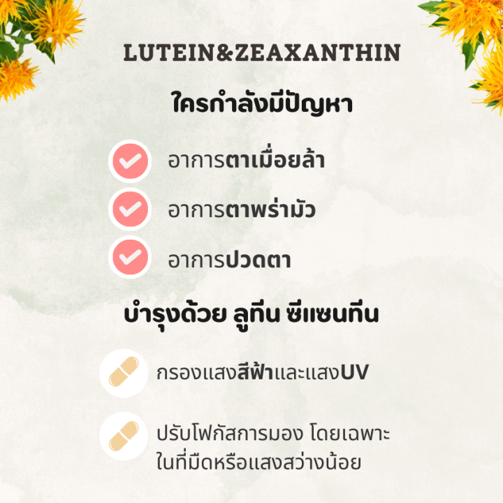 วิตามิน-สายตา-30s-อาหารเสริม-สายตา-ปกป้องแสงสีฟ้า-bilberry-บิลเบอร์รี่-แคโรทีนอยด์-lutein-ลูทีน-zeaxanthin-ซีแซนทีน-เบต้าแคโรทีน-ปัญหา-ตาล้า-ตาพร่า