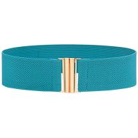 Four Seasons Casual Ladies Elasticated Stretch Waist Band with Dress Fashion Rubber Belt New Decorative Belt Belts for Women  Floaties