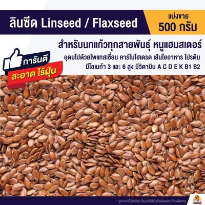 ( PRO+++ ) โปรแน่น.. ลินซีด (Linseed / Flaxseed) สำหรับนกแก้วทุกชนิด หนูแฮมสเตอร์ (แบ่งขาย 500g.) ราคาสุดคุ้ม อาหาร นก อาหารนกหัวจุก อาหารนกแก้ว อาหารหงส์หยก