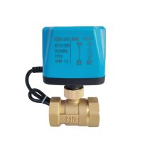 1 Motorized Ball Valve 2 Wire Female Thread 8 N·m Big Torque Brass DN25 Electric Ball Valve 12V 24V 110V 220V AC/DC