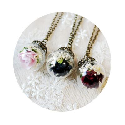 【cw】 Wish Glass Bottle Pendant Dried Real Necklace Sweater Chain Necklaces for ！
