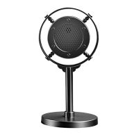 Simulation Classic Retro Microphone Universal Stand for Live Performance Sing Black