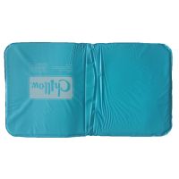 ฤดูร้อนที่สะดวกสบาย Cool Tpy Help Sleeping Aid Pad Mat Muscle Relief Cooling Gel Pillow Ice Pad Massager Water Pillows