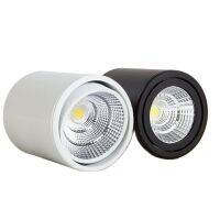 Modern compact cylindrical rotatable COB LED ceiling light surface mount for home and commercial use